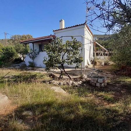 Willa Elafonisos Detached House In Quiet Olive Grove, Starlink Internet & Smart Projector! Zewnętrze zdjęcie