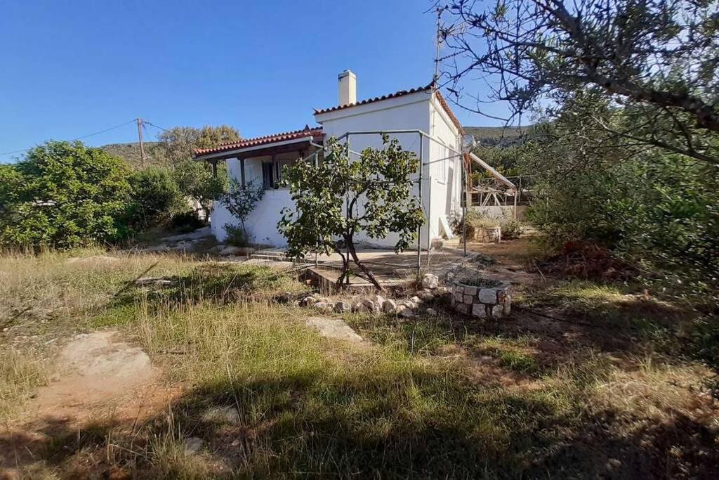 Willa Elafonisos Detached House In Quiet Olive Grove, Starlink Internet & Smart Projector! Zewnętrze zdjęcie