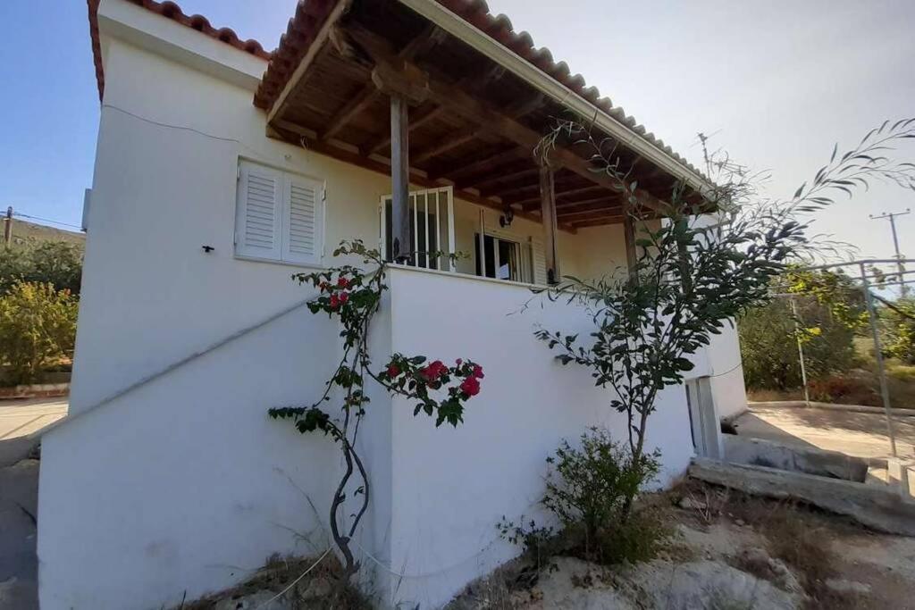 Willa Elafonisos Detached House In Quiet Olive Grove, Starlink Internet & Smart Projector! Zewnętrze zdjęcie
